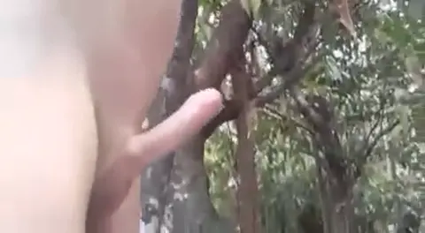 Riding - Premium Video 341